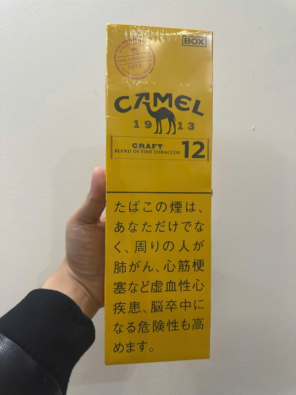 Camel Craft 12